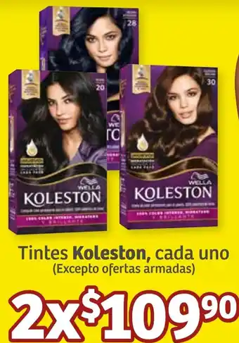 Tintes Koleston