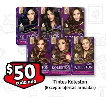 Tintes Koleston (Excepto ofertas armadas) cada uno