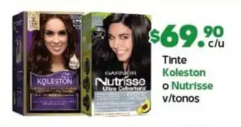 Arteli express Tinte Koleston o Nutrisse v/tonos oferta