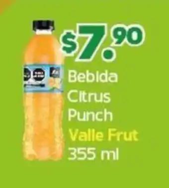 Bebida Citrus Punch Valle Frut 355 ml
