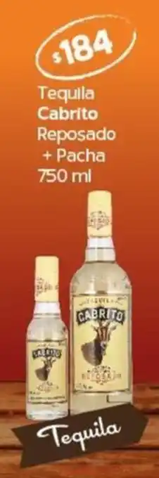 Tequila Cabrito Reposado + Pacha 750 ml