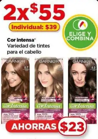 Cor intensa Variedad de tintes para el cabello x 2