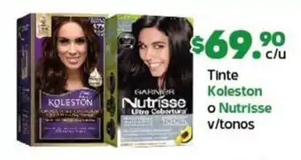 Arteli Tinte Koleston o Nutrisse v/tonos oferta