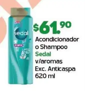 Arteli Acondicionador o Shampoo Sedal v/aromas Exc. Anticaspa 620 ml oferta