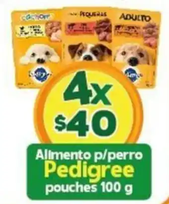 Arteli Alimento p/perro Pedigree pouches 100 g x 4 oferta