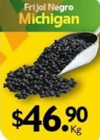 Arteli Frijol Negro Michigan, kg oferta