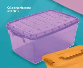 Caja organizadora 38 L