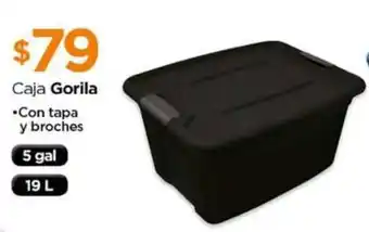 Caja Gorila con tapa y broches 5 gal 19L