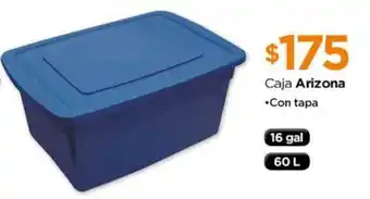 Caja Arizona con tapa 16 gal 60L