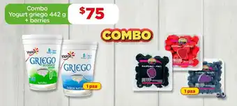 Bodega Aurrerá Combo Yogurt griego 442 g + berries oferta