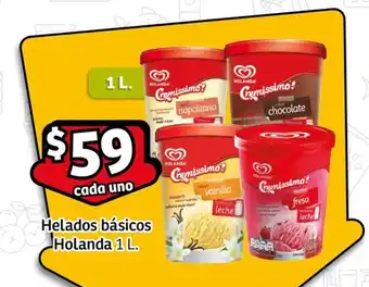 Helados básicos Holanda 1 L.