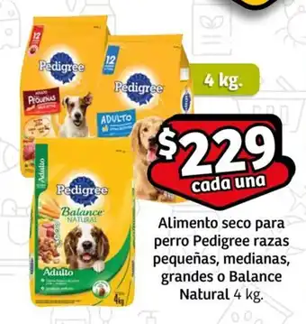 Alimento seco para perro Pedigree razas pequeñas, medianas, grandes o Balance Natural 4 kg.