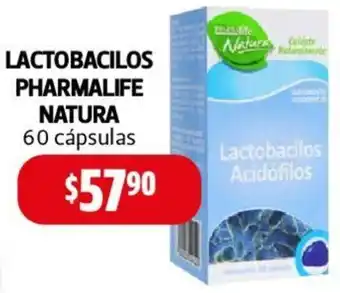 Farmacias Guadalajara LACTOBACILOS PHARMALIFE NATURA 60 cápsulas oferta