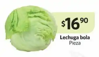 Lechuga bola pieza