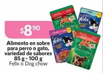 Felix o Dog chow Alimento en sobre felix para perro o gato, variedad de sabores 85 g - 100 g