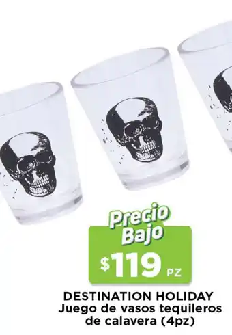 Destination Holiday Juego de Vasos Tequilleros de Calavera 4pz