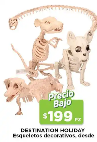 HEB Destination Holiday Esqueletos Decorativos, Desde oferta