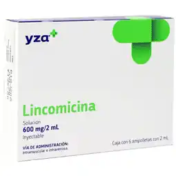 Farmacias YZA Yza Lincomicina 600Mg/2Ml 6 Amp oferta