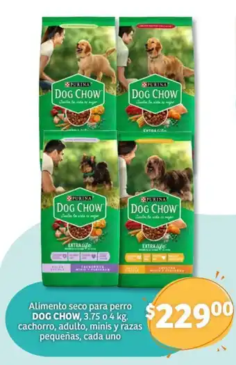 Soriana Híper Alimento seco para perro DOG CHOW, 3.75 o 4 kg. cachorro, adulto, minis y razas pequeñas, cada uno oferta