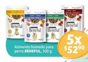 Soriana Híper Alimento húmedo para perro BENEFUL, 100 g. x 5 oferta