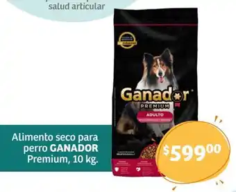 Soriana Híper Alimento seco para perro GANADOR Premium, 10 kg. oferta