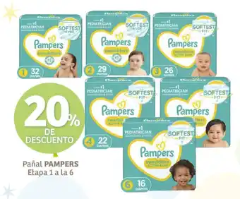 Pañal PAMPERS Etapa 1 a la 6