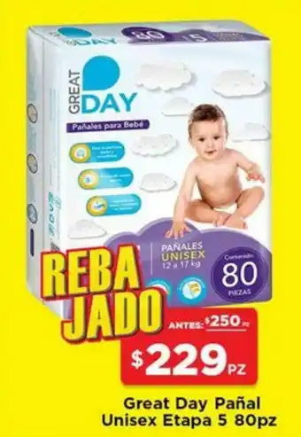 Great Day Pañal Unisex Etapa 5 80pz