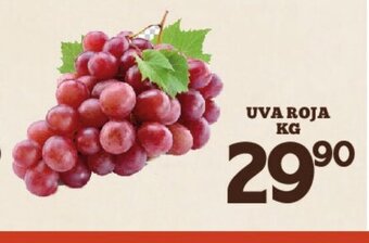 Alsuper UVA Roja Kg oferta