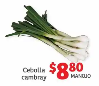 Soriana Híper Cebolla cambray, manojo oferta