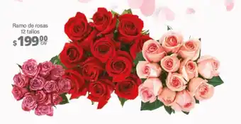 Ramo de rosas 12 tallos