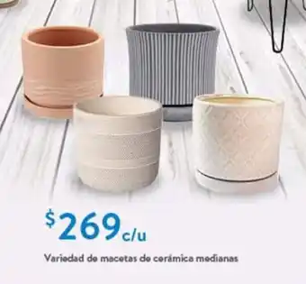 Walmart Variedad de macetas de cerámica medianas oferta