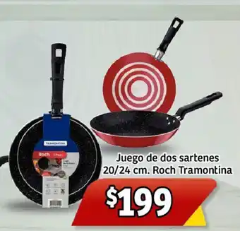 Juego de dos sartenes 20/24 cm. Roch Tramontina