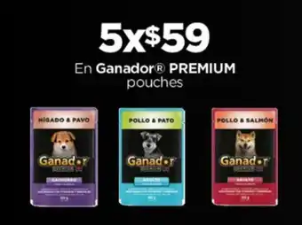 En Ganador PREMIUM pouches x 5