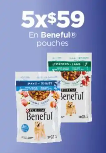 En Beneful pouches x 5