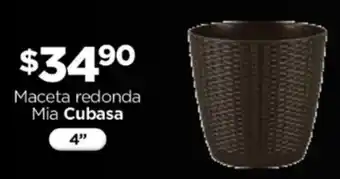 Maceta redonda Mia Cubasa 4"