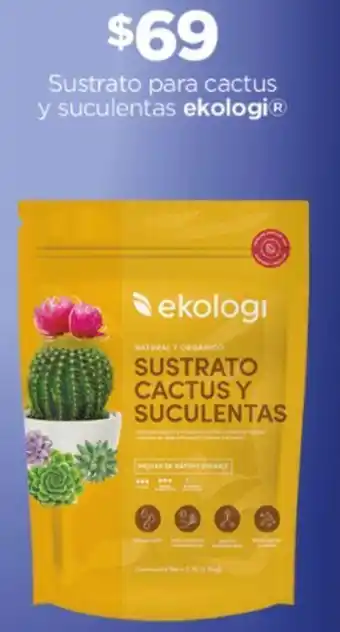 Sustrato para cactus y suculentas ekologi