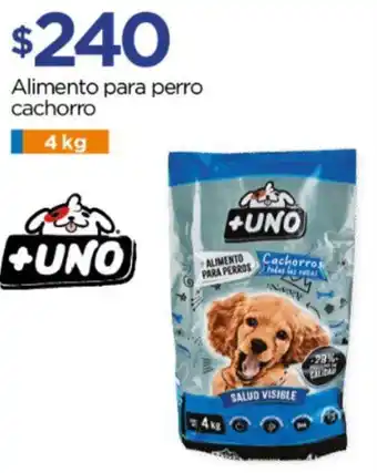 Chedraui Alimento para perro cachorro 4kg oferta