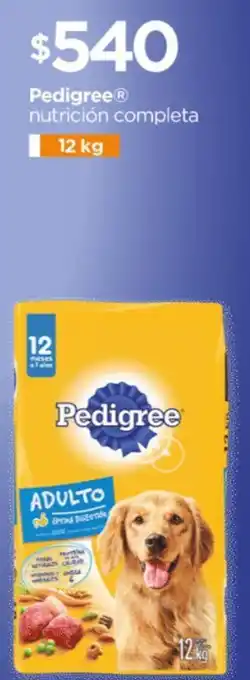 Pedigree nutrición completa 12kg