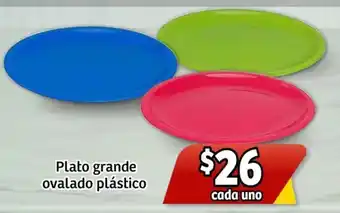 Soriana Express Plato grande ovalado plástico oferta
