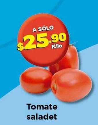 Tomate Saladet