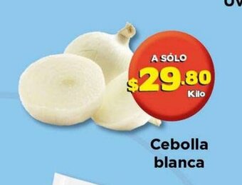 Cebolla Blanca