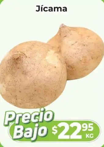 HEB Jícama, kg oferta
