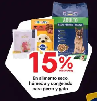 En alimento seco, húmedo y congelado para perro y gato
