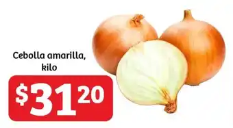 Soriana Híper Cebolla amarilla, kilo oferta