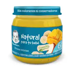 Farmacias YZA Gerber Papilla Etapa 2 Frutas Mixtas 113g oferta