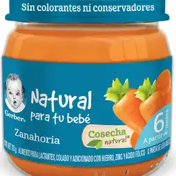 Farmacias YZA Gerber Papilla Etapa 2 Zanahoria 113g oferta