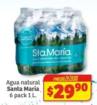 Agua natural Santa María 6 pack 1 L.
