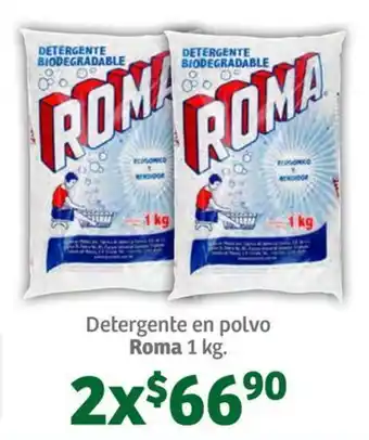 Detergente en polvo Roma 1 kg. x 2