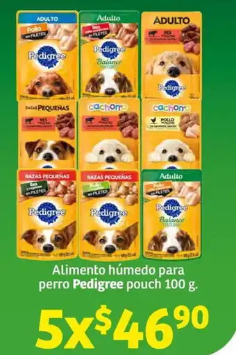 Alimento húmedo para perro Pedigree pouch 100 g. x 5