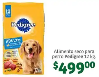 Soriana Súper Alimento seco para perro Pedigree 12 kg. oferta